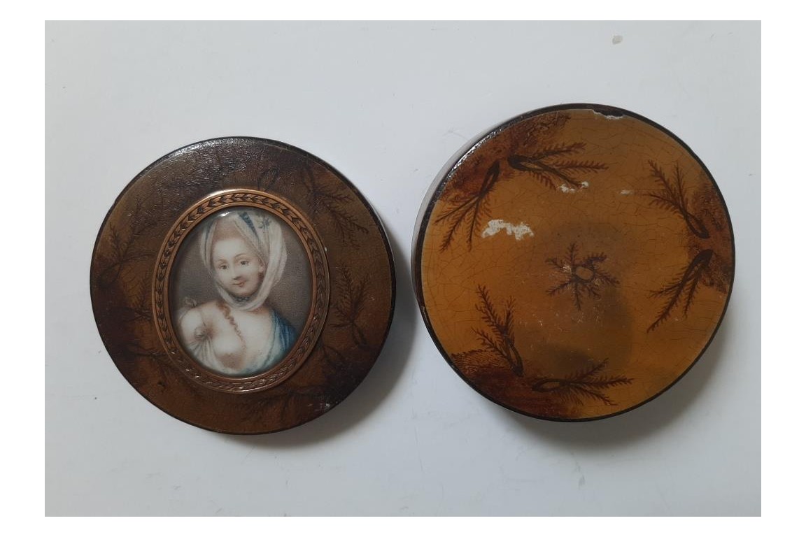 Beauty with fern, 18 or 19th century snuffbox Beauty with fern, 18 or 19th century snuffbox
