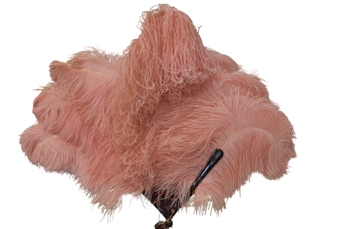 Plumes en folie, éventails vers 1920-25