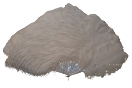 Plumes en folie, éventails vers 1920-25