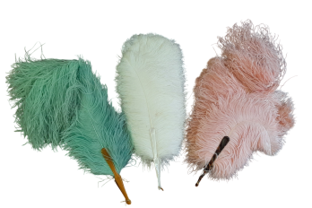 Plumes en folie, éventails vers 1920-25