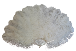 Plumes en folie, éventails vers 1920-25