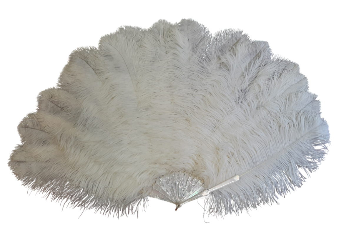 Plumes en folie, éventails vers 1920-25