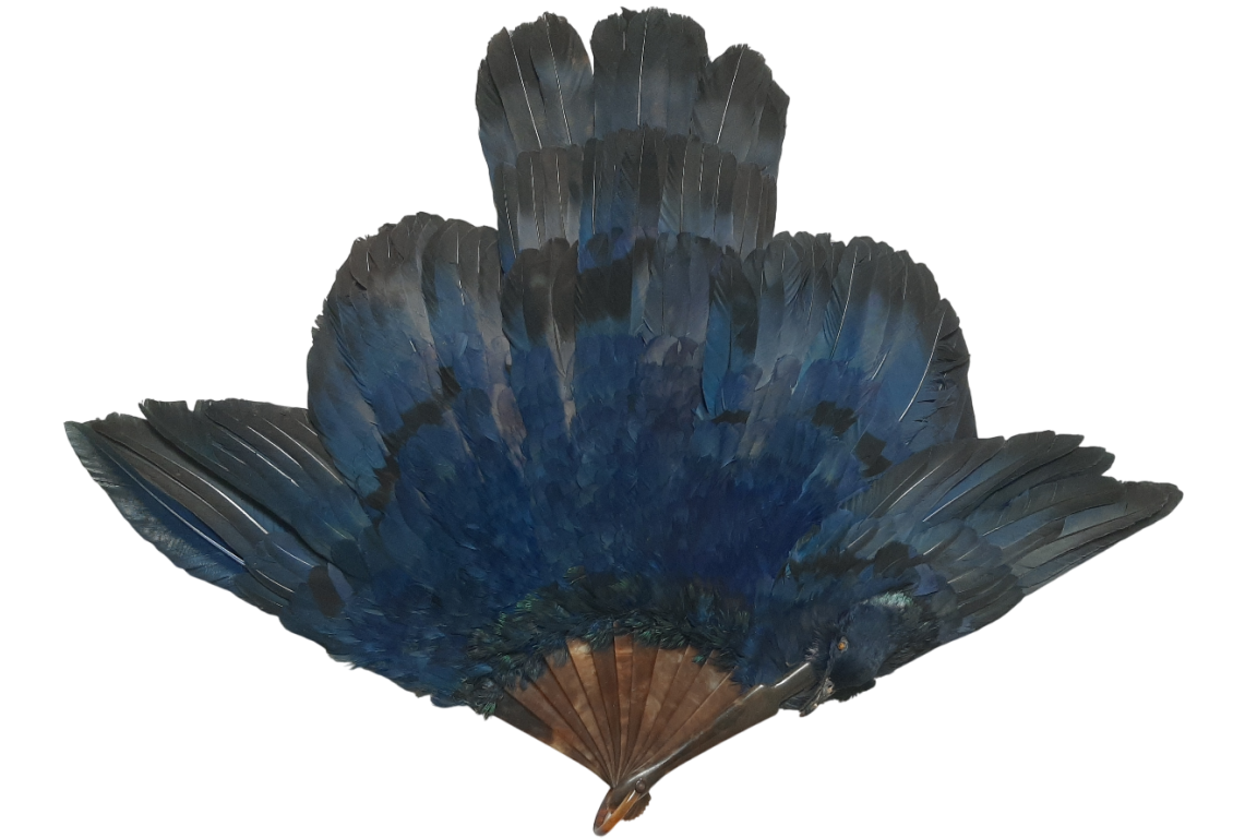 Oiseau bleu, éventail Duvelleroy (?)  vers 1922