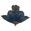 Grive bleu, éventail Duvelleroy (?)  vers 1922