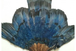 Oiseau bleu, éventail Duvelleroy (?)  vers 1922