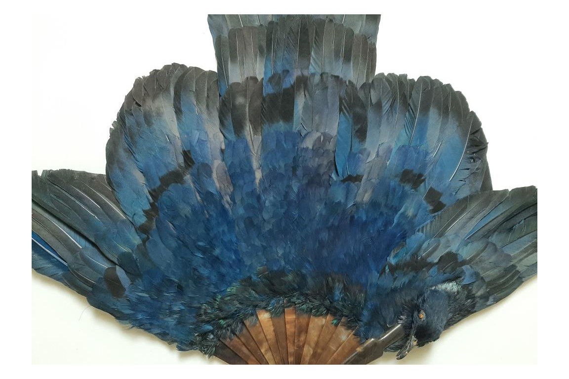 Oiseau bleu, éventail Duvelleroy (?)  vers 1922