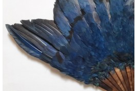 Oiseau bleu, éventail Duvelleroy (?)  vers 1922