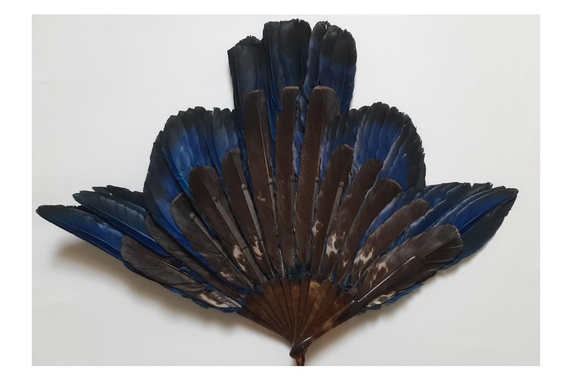 Oiseau bleu, éventail Duvelleroy (?)  vers 1922