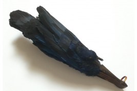 Oiseau bleu, éventail Duvelleroy (?)  vers 1922