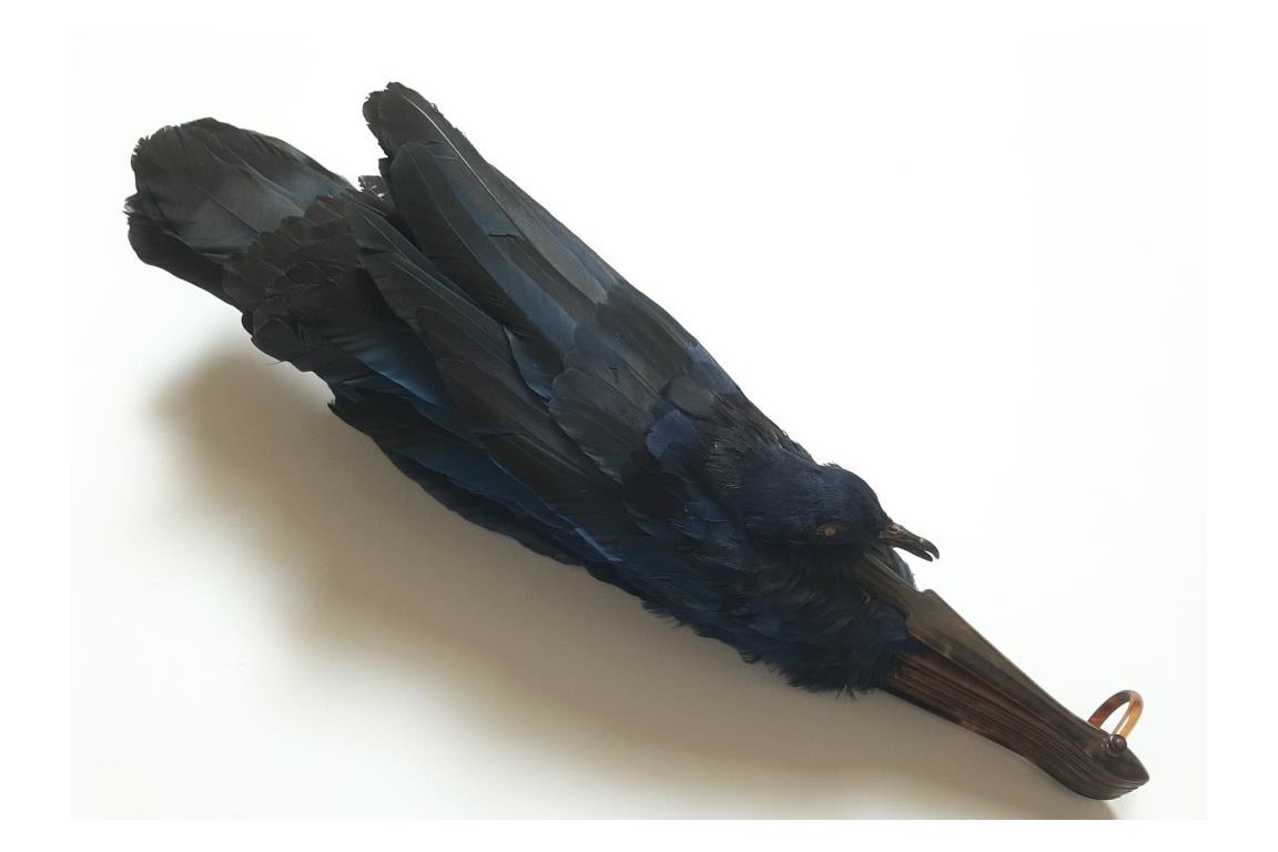 Oiseau bleu, éventail Duvelleroy (?)  vers 1922