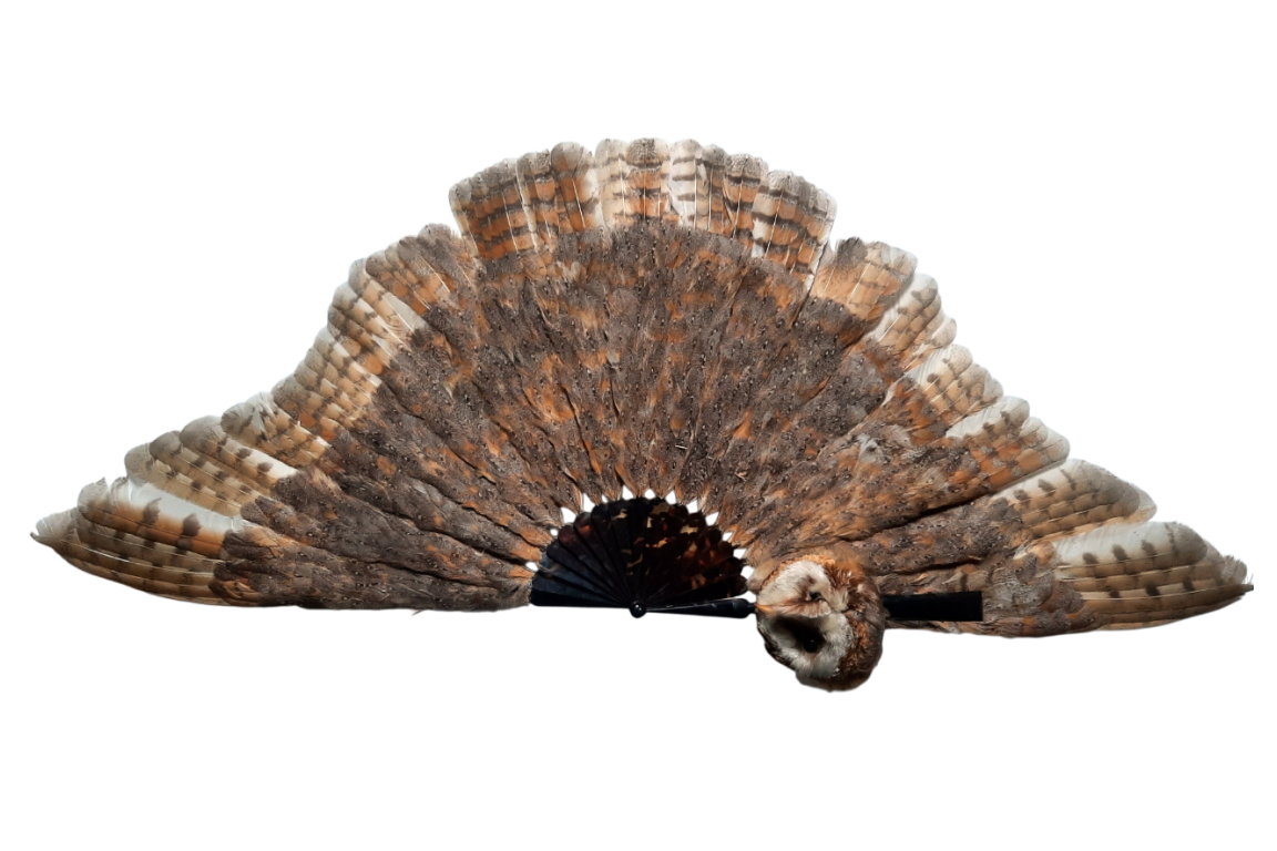 The owl, fan circa 1900