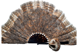 The owl, fan circa 1900