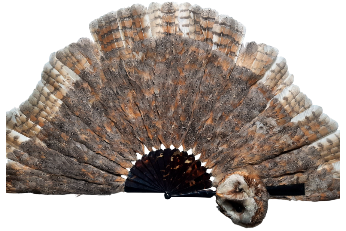 The owl, fan circa 1900