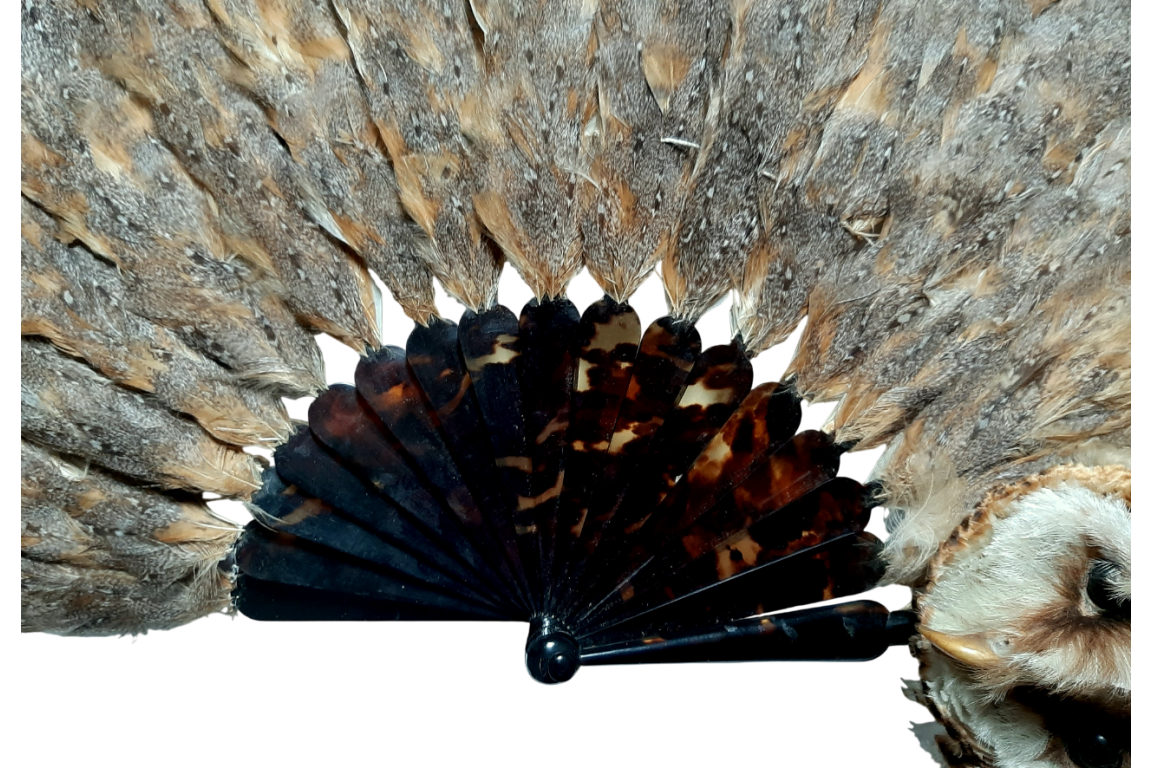 The owl, fan circa 1900