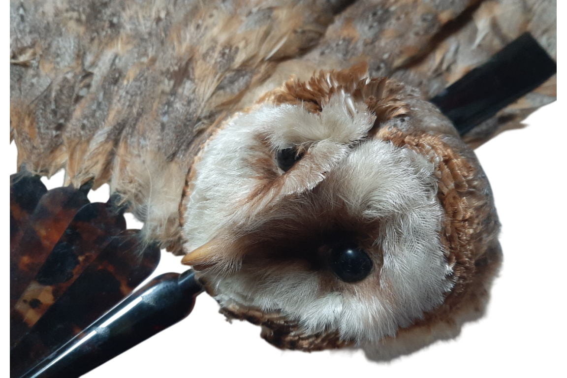 La chouette, éventail vers 1900