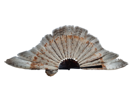 La chouette, éventail vers 1900