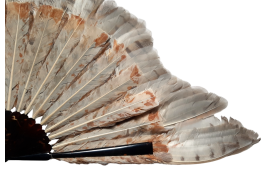 The owl, fan circa 1900