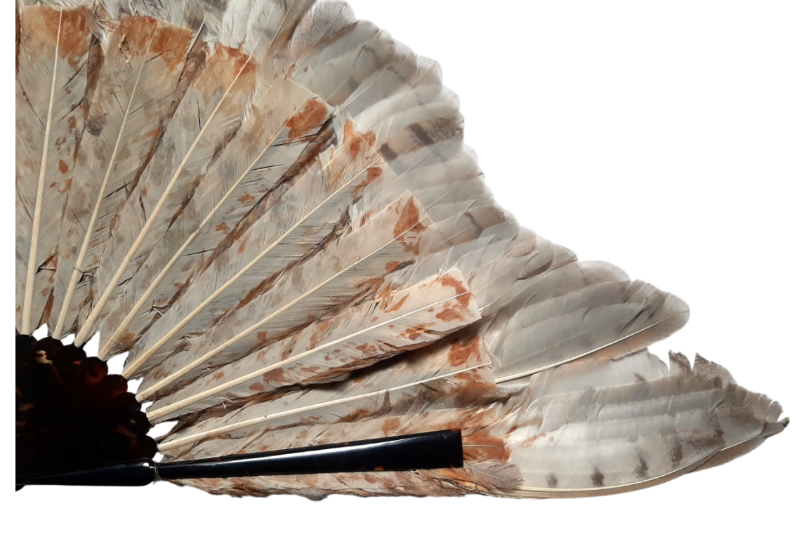 The owl, fan circa 1900