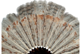 The owl, fan circa 1900