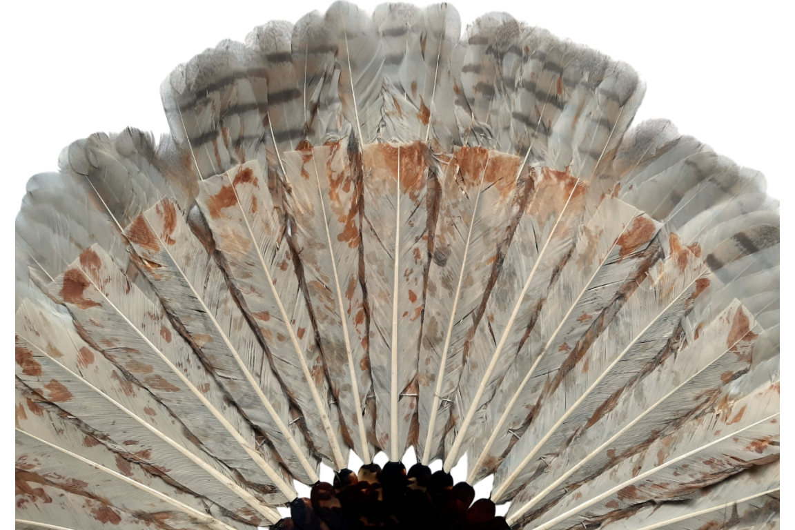 The owl, fan circa 1900