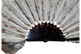 The owl, fan circa 1900