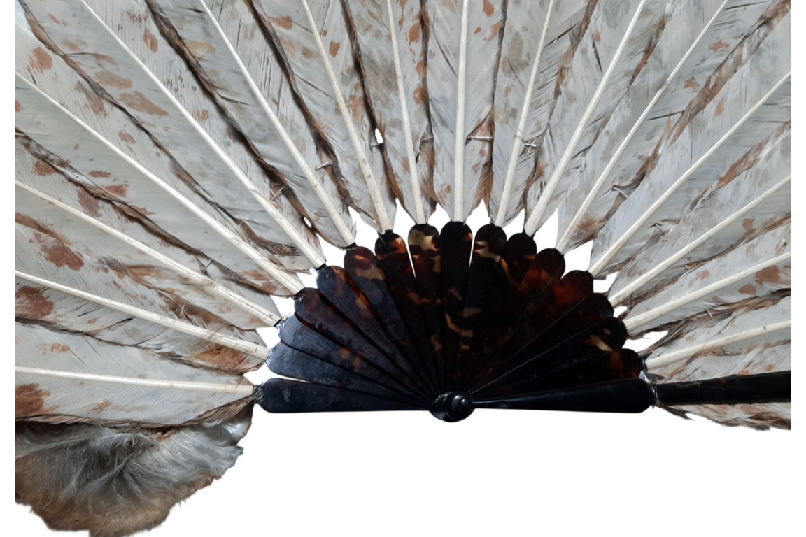 The owl, fan circa 1900