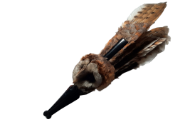 The owl, fan circa 1900