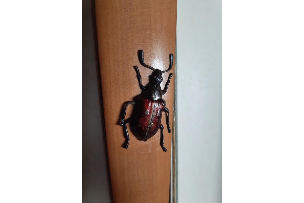 Oiseaux et insectes, éventail fin XIXe siècle