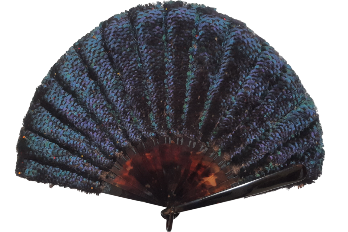Lophophore, éventail en plumes vers 1900