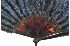 Himalayan monal, feather fan, circa 1900