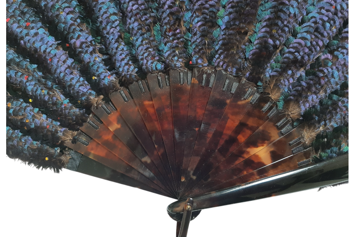 Lophophore, éventail en plumes vers 1900