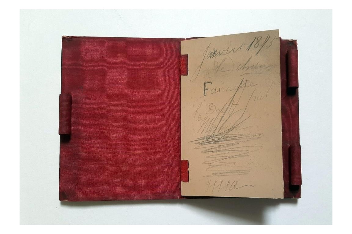 Exotic birds, 19th-century notebook