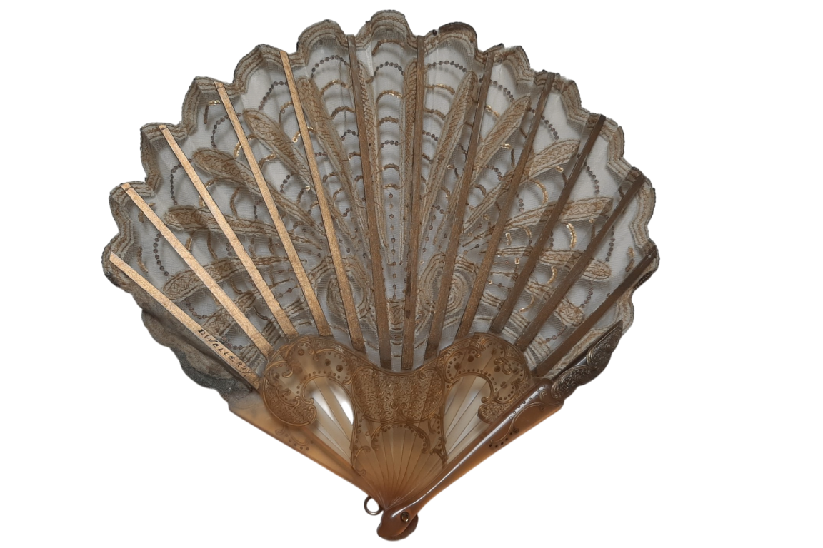 Duvelleroy coquille