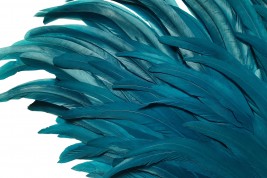 Blue rooster, art deco fan