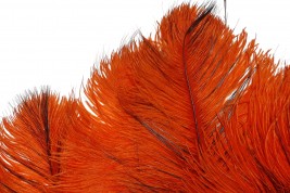 Orange et noir, éventail art déco