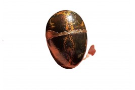 Vernis Martin egg, 18th century