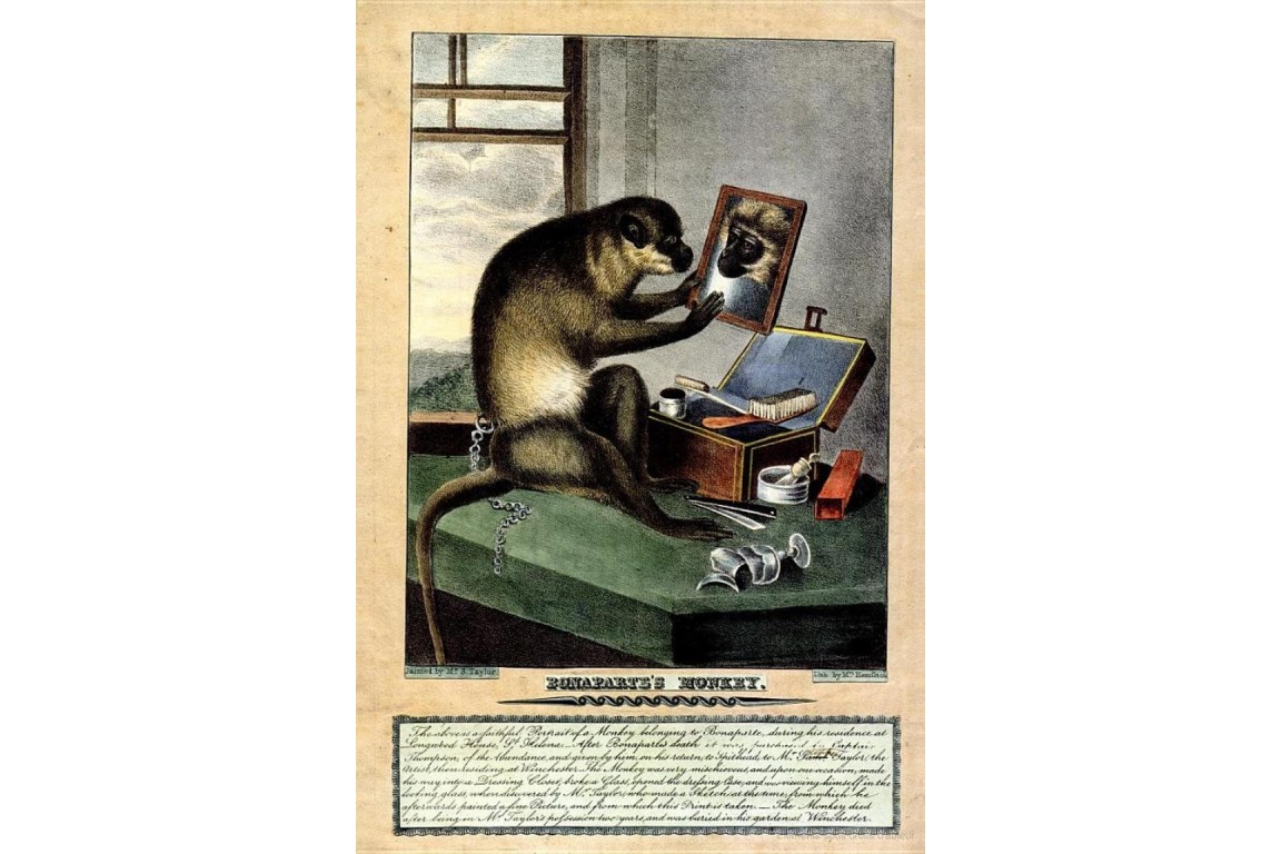 Le singe vert de Napoléon, éventail vers 1820